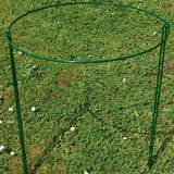 Maxbell Iron Plant Support Ring Plant Cages for Vegetable Climbing Plant Garden Round