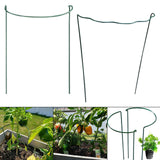 Maxbell Iron Plant Support Ring Plant Cages for Vegetable Climbing Plant Garden Round