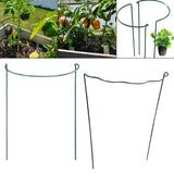 Maxbell Iron Plant Support Ring Plant Cages for Vegetable Climbing Plant Garden Round