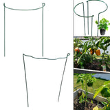Maxbell Iron Plant Support Ring Plant Cages for Vegetable Climbing Plant Garden Round