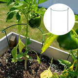 Maxbell Iron Plant Support Ring Plant Cages for Vegetable Climbing Plant Garden Round