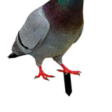 Maxbell Fairy Garden Stake Standing Decoration Animal Statue for Lawn Yard Backyard StyleA