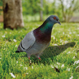 Maxbell Fairy Garden Stake Standing Decoration Animal Statue for Lawn Yard Backyard StyleA