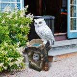 Maxbell Owl Statue Solar Light Decoration for Indoor Outdoor Yard Decor