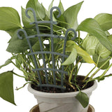 Maxbell Sturdy Flower Pots Supports Lattices Flower Support DIY for plant Pot 1 Climbing trellis