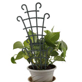 Maxbell Sturdy Flower Pots Supports Lattices Flower Support DIY for plant Pot 2 Climbing trellis