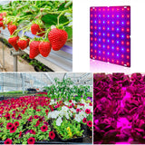 Maxbell 85-265V Full Grow Light LED Grow Lights for Vegetable Greenhouse Flower