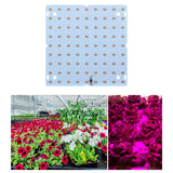Maxbell 85-265V Full Grow Light LED Grow Lights for Vegetable Greenhouse Flower