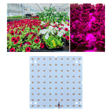 Maxbell 85-265V Full Grow Light LED Grow Lights for Vegetable Greenhouse Flower