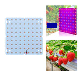 Maxbell 85-265V Full Grow Light LED Grow Lights for Vegetable Greenhouse Flower