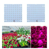 Maxbell 85-265V Full Grow Light LED Grow Lights for Vegetable Greenhouse Flower