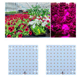 Maxbell 85-265V Full Grow Light LED Grow Lights for Vegetable Greenhouse Flower