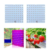 Maxbell 85-265V Full Grow Light LED Grow Lights for Vegetable Greenhouse Flower