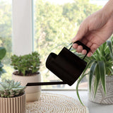 Maxbell Stainless Steel Mini Watering Cans 300ml for Watering Home Office Desk