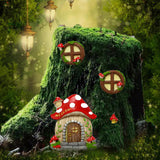 Maxbell Trees Mini Fairy Doors and Windows for Fairy Garden Terrarium Ornaments