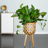 Maxbell Hand Woven Flower Pot Stand Farmhouse for Home Office Living Room Large