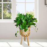 Maxbell Hand Woven Flower Pot Stand Farmhouse for Home Office Living Room Small