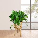 Maxbell Hand Woven Flower Pot Stand Farmhouse for Home Office Living Room Small