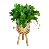 Maxbell Hand Woven Flower Pot Stand Farmhouse for Home Office Living Room Small