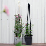 Maxbell Climbing Vine Frame Durable Sturdy Decor for Indoor Outdoor Backyard Garden Height 120cm