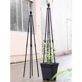 Maxbell Climbing Vine Frame Durable Sturdy Decor for Indoor Outdoor Backyard Garden Height 120cm