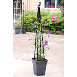Maxbell Climbing Vine Frame Durable Sturdy Decor for Indoor Outdoor Backyard Garden Height 120cm