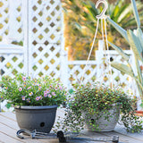 Maxbell Hanging Planters Flower Basket with Detachable Hanger for Indoor Outdoor White Large
