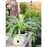 Maxbell Hanging Planters Flower Basket with Detachable Hanger for Indoor Outdoor White Large