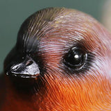 Maxbell Bird Figurine Arts Decoration Resin for Tabletop Outdoor and Indoor Outdoor Orange