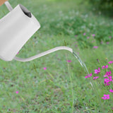 Maxbell Watering Can 1 L Multipurpose with Long Spout Decorative for Garden Indoor White