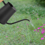Maxbell Watering Can 1 L Multipurpose with Long Spout Decorative for Garden Indoor Black