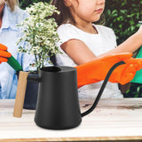 Maxbell Watering Can 1 L Multipurpose with Long Spout Decorative for Garden Indoor Black