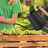 Maxbell Watering Can 1 L Multipurpose with Long Spout Decorative for Garden Indoor Black