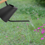 Maxbell Stainless Steel Watering Pot with Long Mouth 900ml for Home Garden Bonsai Black
