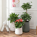 Maxbell Self Watering Planter with Drainage Hole Flower Plant Pot for Garden Indoor 34x36cm White