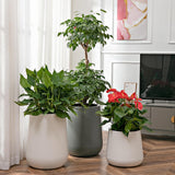 Maxbell Self Watering Planter with Drainage Hole Flower Plant Pot for Garden Indoor 52.5x36cm White