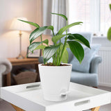 Maxbell 5Pcs Automatic Water Absorbing Flowerpot for All House Plants Garden Flowers