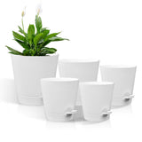 Maxbell 5Pcs Automatic Water Absorbing Flowerpot for All House Plants Garden Flowers