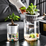 Maxbell Mini Fish Tank Bonsai Growing System Flower Pot for Indoor Desktop Fish 12cmx6.5cm