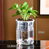 Maxbell Mini Fish Tank Bonsai Growing System Flower Pot for Indoor Desktop Fish 12cmx6.5cm