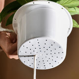 Maxbell Mini Fish Tank Bonsai Growing System Flower Pot for Indoor Desktop Fish 12cmx6.5cm