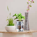 Maxbell Mini Fish Tank Bonsai Growing System Flower Pot for Indoor Desktop Fish 12cmx6.5cm