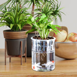 Maxbell Mini Fish Tank Bonsai Growing System Flower Pot for Indoor Desktop Fish 12cmx6.5cm