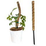 Maxbell 2x 17inch plant Pole DIY Bendable Coir for Courtyard Potted Plant Growing