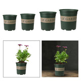 Maxbell Flower seed Flower Pots Planting Pot Container for Desktops Gardens S