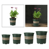 Maxbell Flower seed Flower Pots Planting Pot Container for Desktops Gardens S