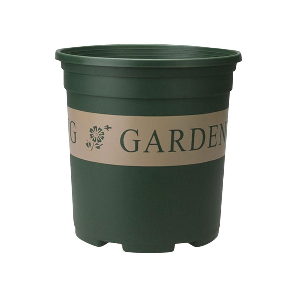 best price plant pots ⚡️Buy Maxbell Flower seed Flower Pots Planting Pot Container for Desktops Gardens S at the best price with offers in India. Maxbell Flower seed Flower Pots Planting Pot Container for Desktops Gardens