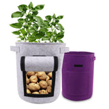 Maxbell Vegetable Grow Bag and Flap Window with Handle for Tomato Vegetable Onion Light Gray