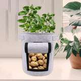 Maxbell Vegetable Grow Bag and Flap Window with Handle for Tomato Vegetable Onion Light Gray