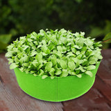 Maxbell Plant planting pouch Outdoor growing pot Breathable for Vegetable Back Porch Yard 80cmx30cm